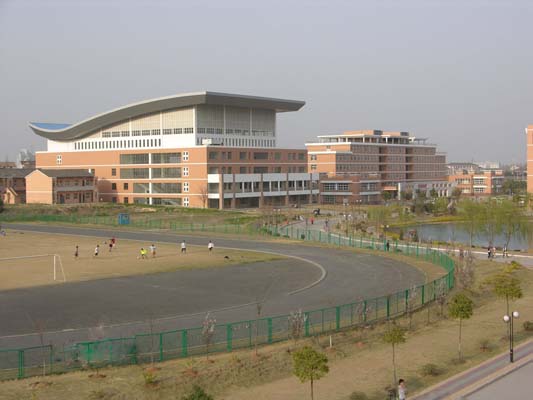 体育场